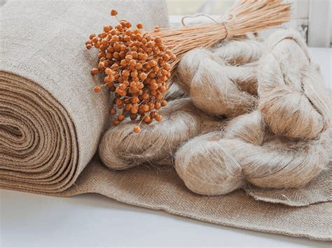  Flax Fiber Üretimi ve Uygulamaları: Tekstil Endüstrisinin Altın İpliği!