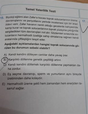  Florin: Yüksek Isı Direnci Sağlayan Muhteşem Bir Madde mi?