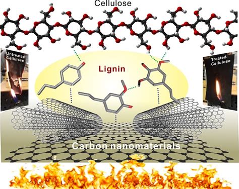  Lignin Nanotubes: Devrim niteliğinde bir malzeme mi yoksa sadece bir moda mı?