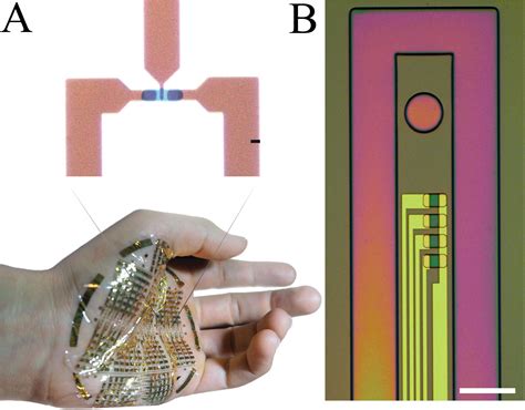 Ultrathin Film Transistorlar Elektronik Cihazlarında Devrim Yaratıyor mu?