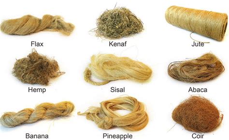  Woolly Flax: Bir Doğal Mücize - Tekstil ve Yenilenebilir Enerji İçin Neden Önemlidir?