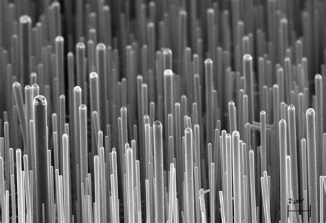 Zinc Oxide Nanowires: Güçlü Bir Yarı İletken Malzemesi ve Nano-Elektronik Uygulamaları İçin Harika Bir Aday!